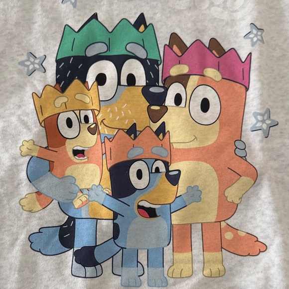 NWT Kids Bluey and Bingo Hooray Sweatshirt! - Picture 2 of 5
